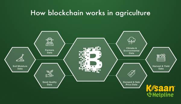 ब्लॉकचेन, कृषि क्षेत्र को बदलने का द्वार है ब्लॉकचेन, कृषि क्षेत्र को बदलने का द्वार है